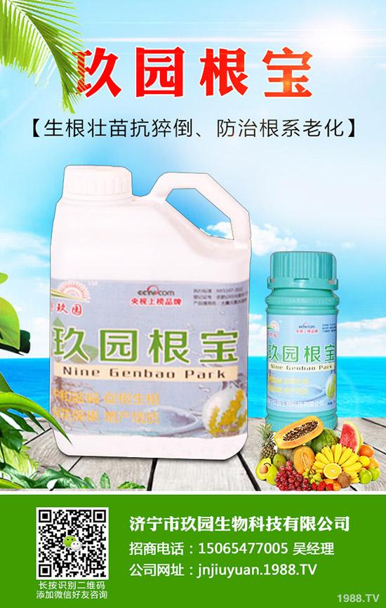 �������x��η����������x��Σ�����l(f��)��Ҏ(gu��)����