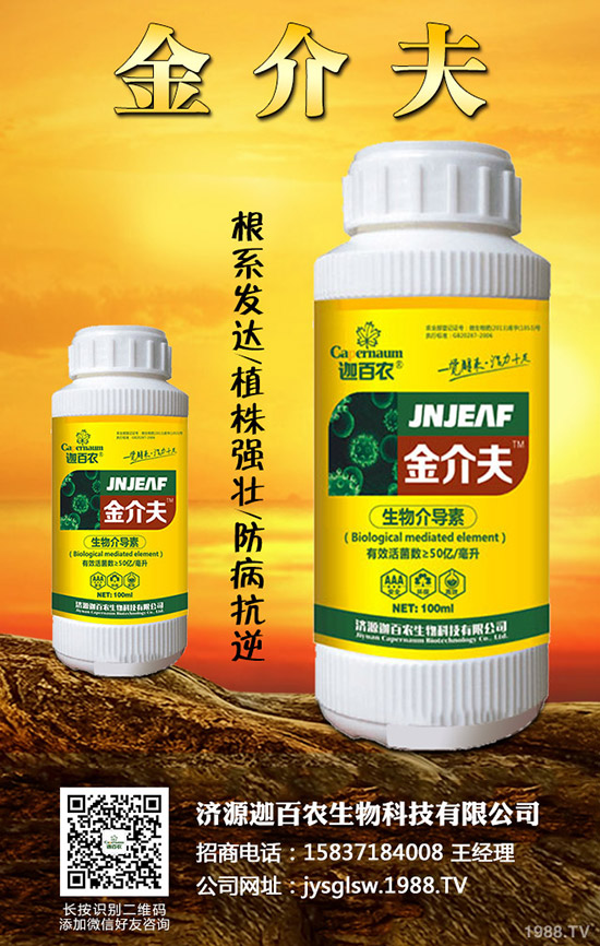 ���������o��������ô�k�������o���������\���c������