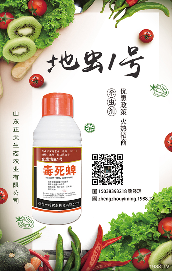 �����}����ηNֲ�������}����Ҫע��ʲô��