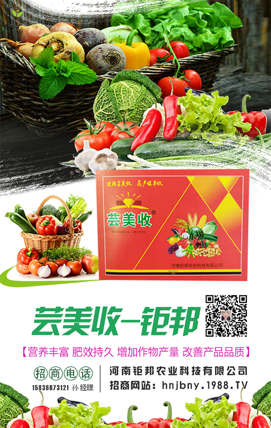 櫻桃蘿卜生長(zhǎng)對(duì)環(huán)境條件要求，櫻桃蘿卜怎么施肥？