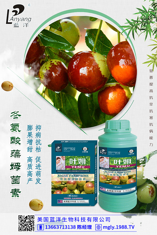 �ײ�ܛ��������������������ЩΣ�����ײ�ܛ�����İl(f��)���c����