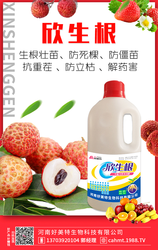 ���Ϻ���������Ƽ����޹�˾1