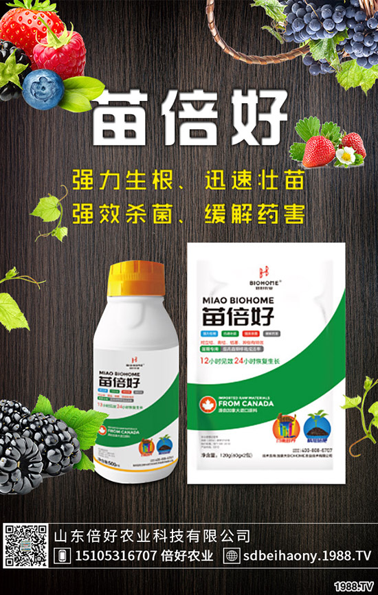 С�����N�󲻳����������ԭ����������С��������?