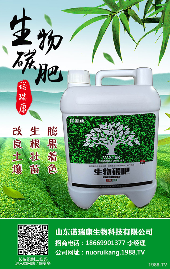 ����������ԓ��ô�N�������@���c(di��n)���p�ɷN����������