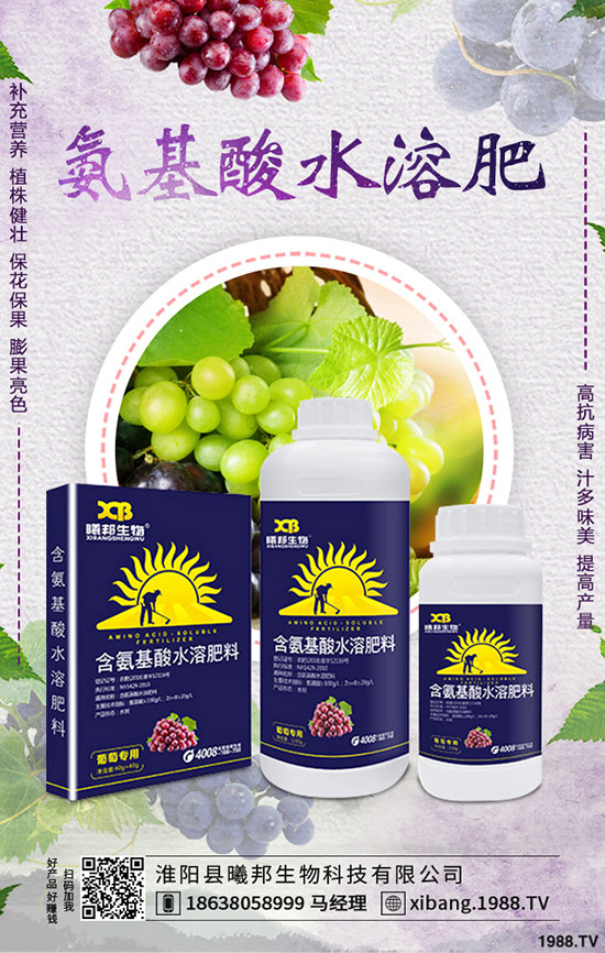 �＾�}����ô�Nֲ���＾�}���Nֲ���g(sh��)������Ҫ�c��