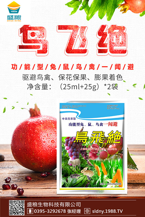 �������t������ڷ����������t���ڷ۷�������Щ��