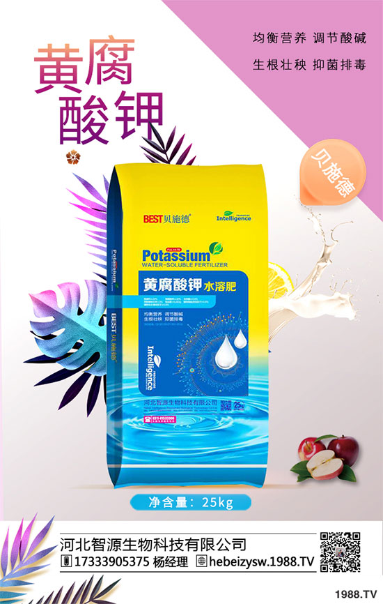 ����ը���ӷNֲ�����¹����༼�g(sh��)��