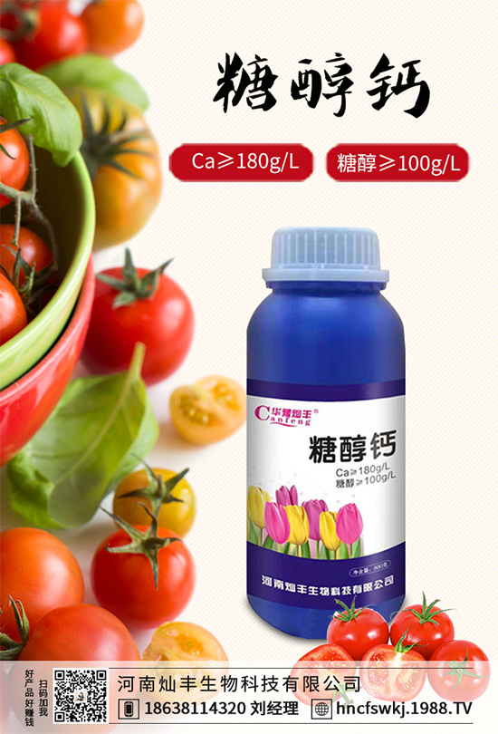 ���{���ݲ����u������ԓ��η��������{���ݲ����δ�ʩ