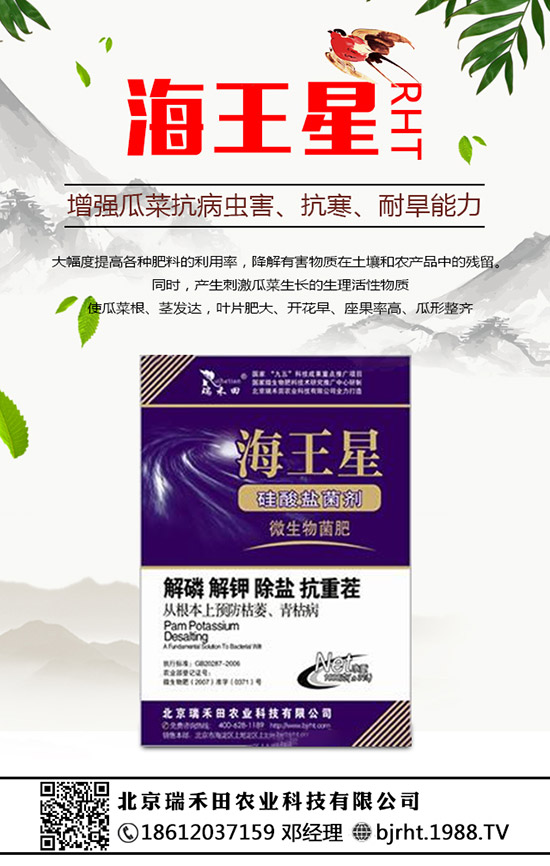 2020��Nֲ������ٍ�X�����������ķNֲǰ��������