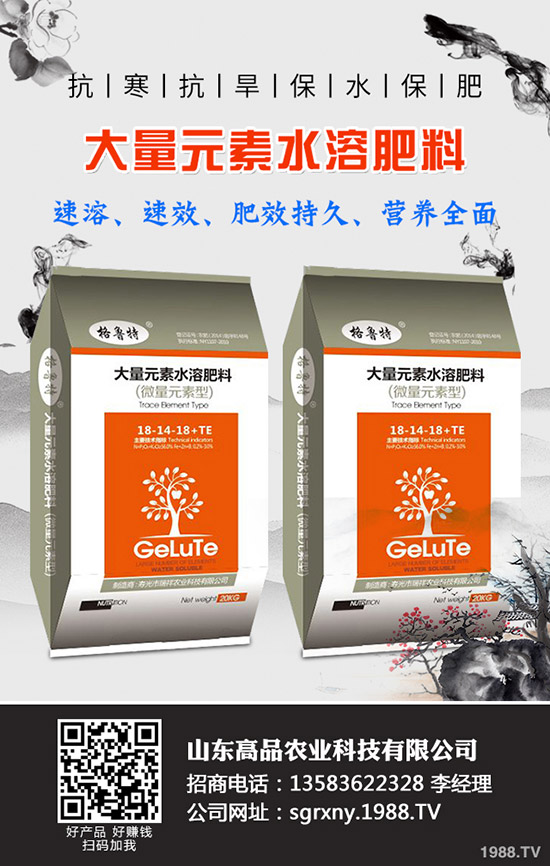 2019��11��12�ձ���������(n��i)⛷������߄��A(y��)�y��