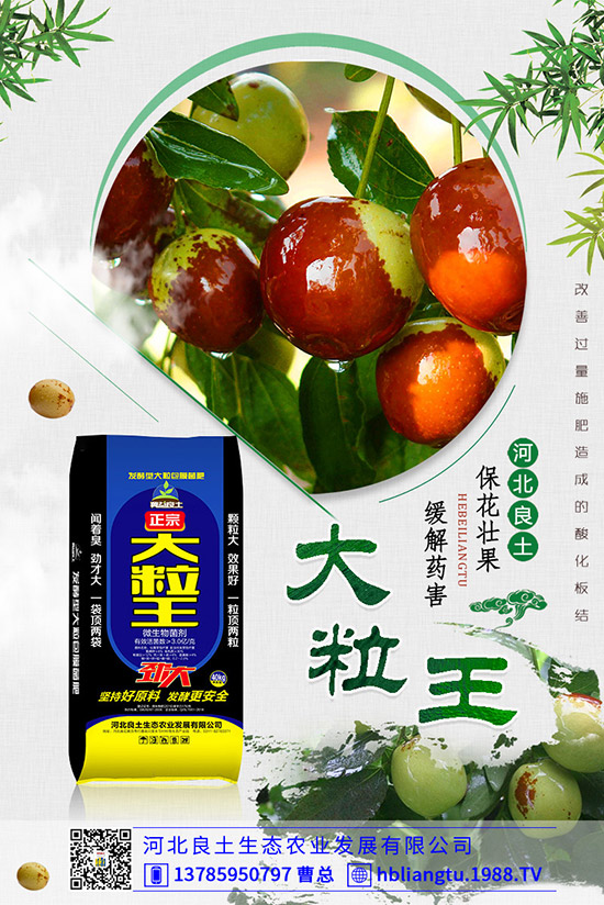 ����仨���ԭ������Щ�������������������