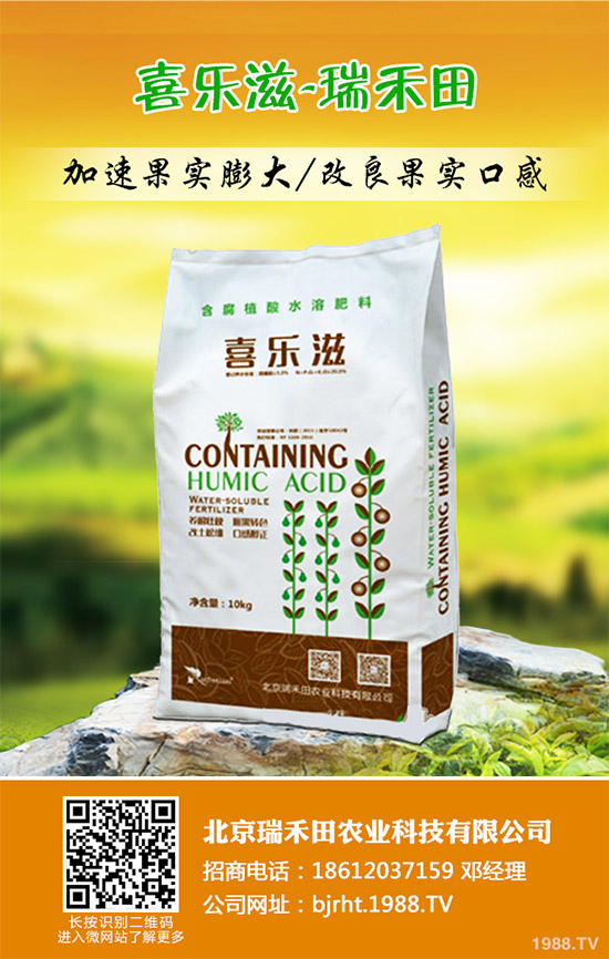 2019��11��12�ս��ո������؏S�҈�(b��o)�r(ji��)�^�m(x��)�µ������غ����A(y��)�y��