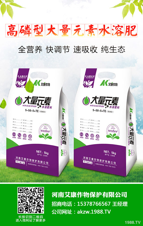 ���؃r(ji��)��Εr(sh��)���{(di��o)�������������������߄ݷ���2019-11-13