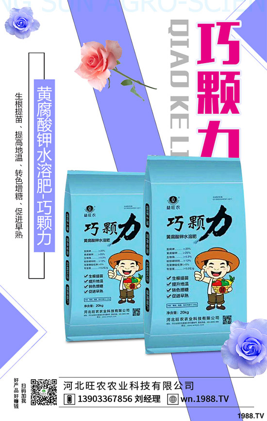 ���؃r(ji��)�����һ�ܣ��r(ji��)���»�������2019-11-13���س��S�r(ji��)���A(y��)��(b��o)��