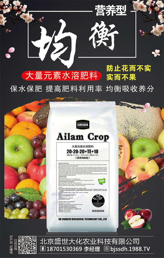 ���ӵĠI�B(y��ng)������t���ֵĹ�Ч�c���ã�