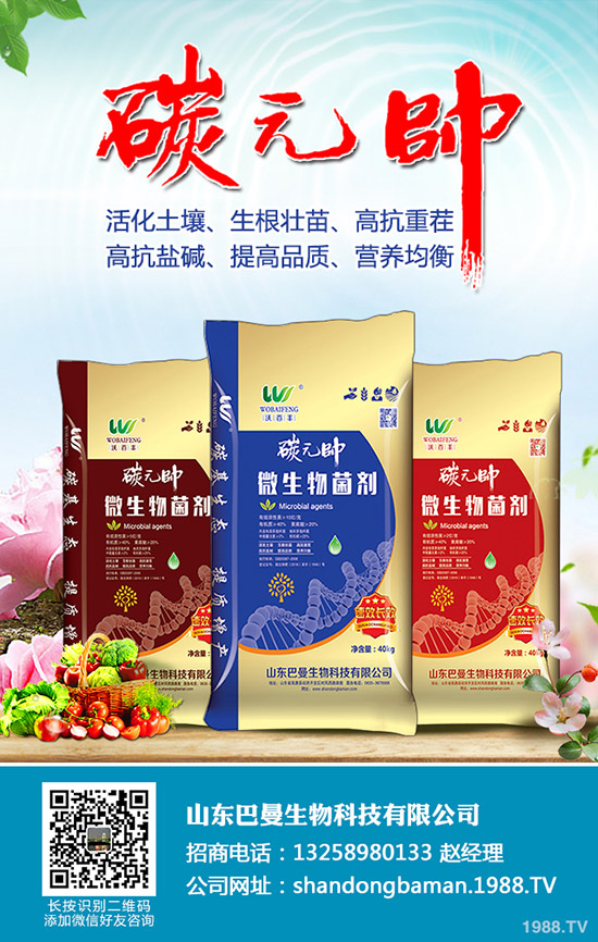     2019-11-15�����܈󣺃r����m(x��)�»��������������������