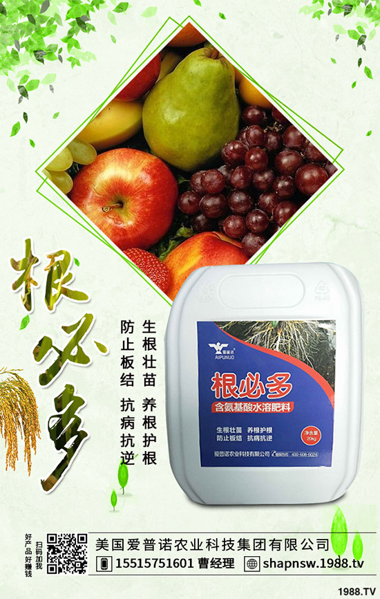 ������ô�������ܸ߮a(ch��n)�����Ӹ߮a(ch��n)�ߴ������ʩ