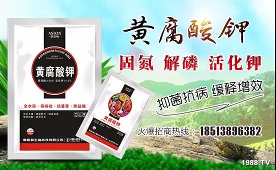 �VԴ�S����⛡�����Ʒ����1����=8���ЙC(j��)�����½�Դ�^ֱ�l(f��)������