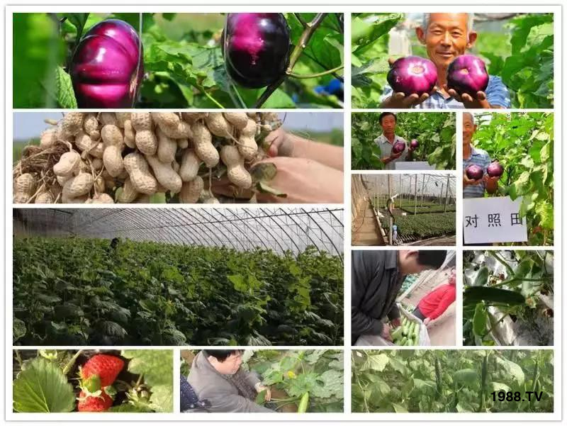 �VԴ�S����⛡�����Ʒ�ʣ�1����=8���ЙC(j��)�����½�Դ�^ֱ�l(f��)������