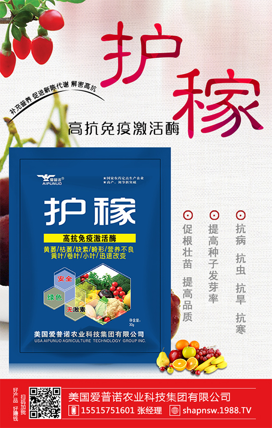 秋冬菠菜種植品種怎么選？越冬菠菜凍藏方法要點！