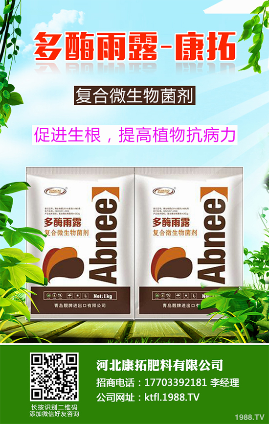 11�·��r(n��ng)�°�������Щ��2019�ﶬ�߲˷Nֲָ��