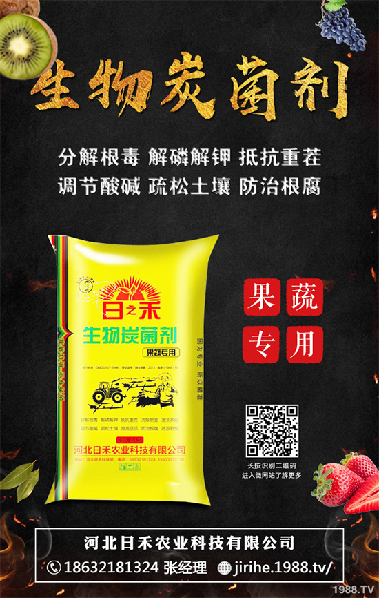 ���[��ֲ�������ˆ������[��ֲ����ֲ���������