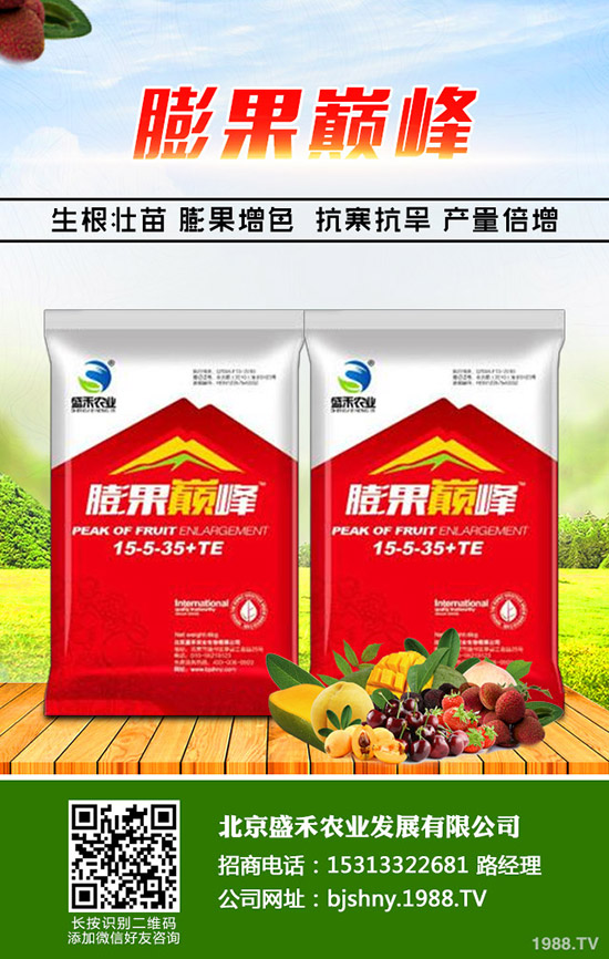 �������﷬�ѿ��Ĺ���ʲôԭ�������ӱ��ⷬ�ѿ��Ĺ��l(f��)����