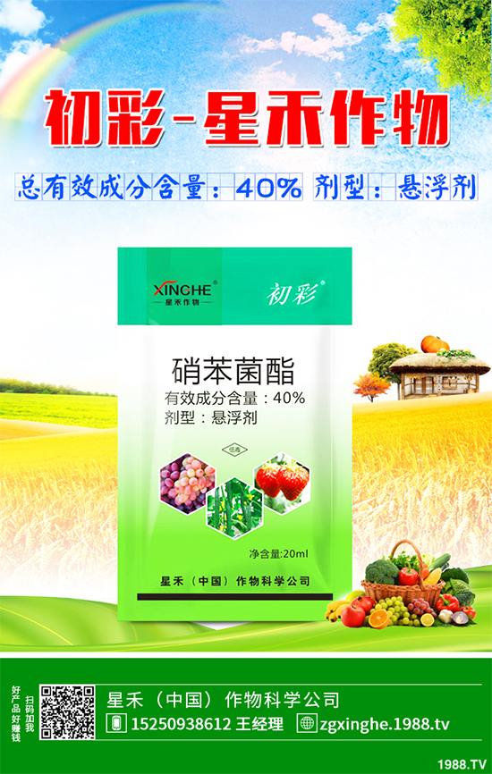     ���(sh��)�������r(ji��)��