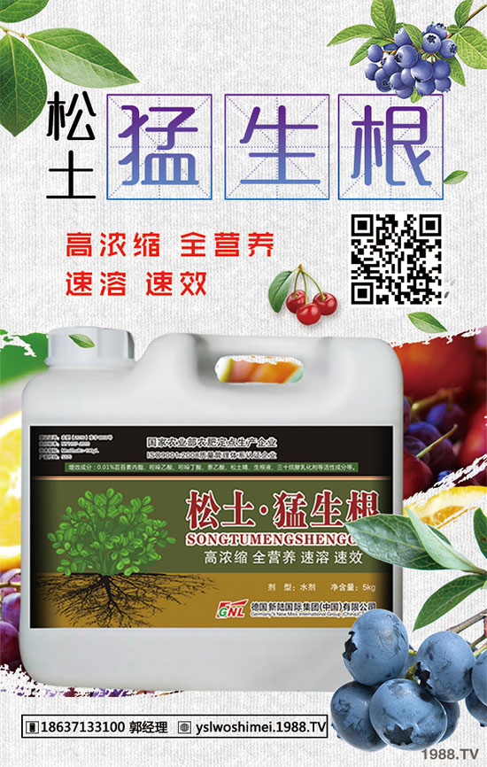 ��������Щ��Ч�����������ӵ�ʳ�ý�����