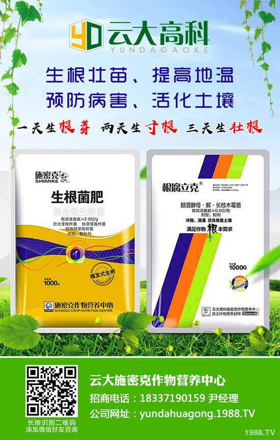 ��������ֲ��Ƥ�Ɇ�����Ƥ�ɶ�����ֲ����