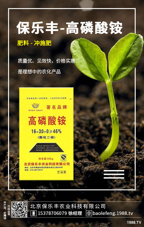 ����(n��i)���@�r����ϝq����2019.11.29���ո������@���S��r��