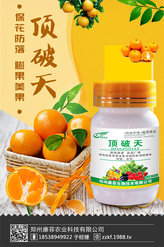 ���ٞ�ʲô���S�~�������S�~�Ľ�Q��ʩ��