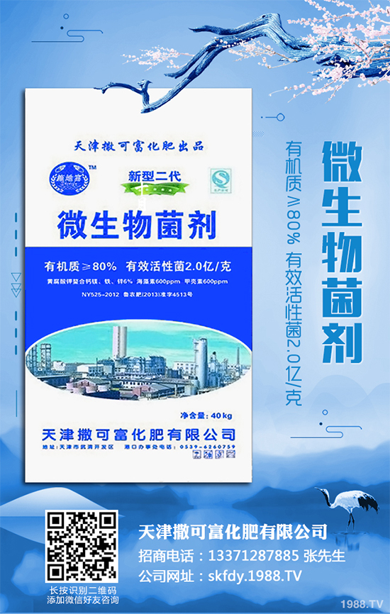 ��Ƥ�����Ժ���S��զ���£�ԓ��ô��Q�����������