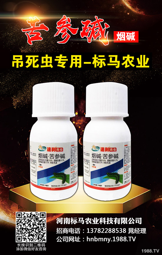 �������x��Σ���Y��l(f��)���l������������Щ���η�����