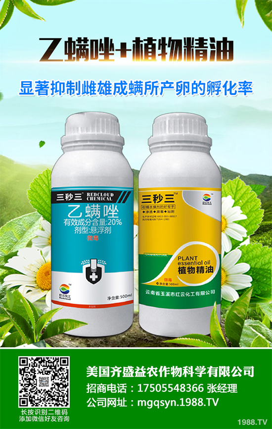 ����������x(ch��ng)���r(ji��)��