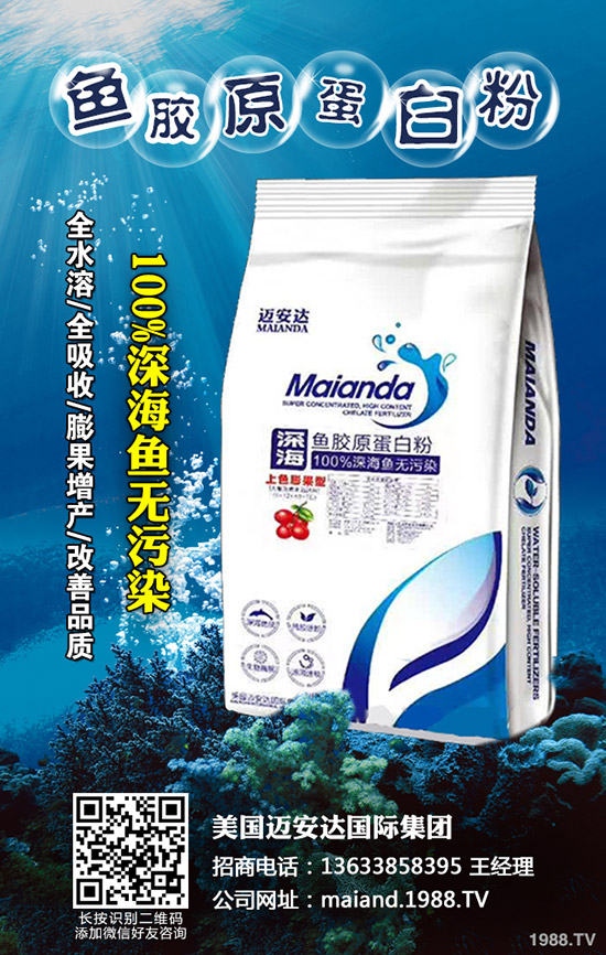     2019��11��6�ս��ո������؏S�҈�r�^�m(x��)�µ������غ����A(y��)�y��