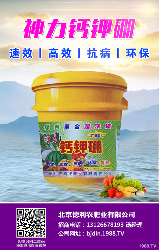 ���¹ϷNֲǰ����������¹ϷNֲҪ�c(di��n)��