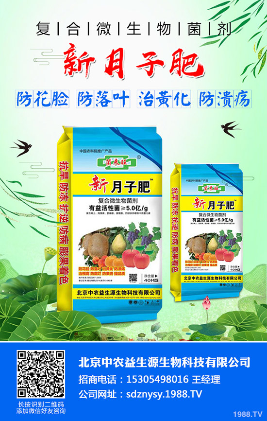     �t��ӭ������������2019��ȼt���r(ji��)�������߄�(sh��)��������r��