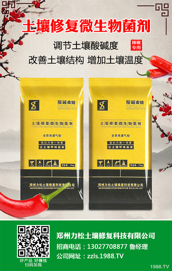 ��Ҭ��ܛ����Σ�����u���Л]�кõķ��η����������������