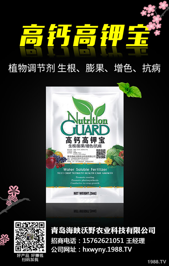 �Ϳ��Nֲǰ��Ҫ�ʂ���Щ�������Ϳ��Nֲ��������Щ��