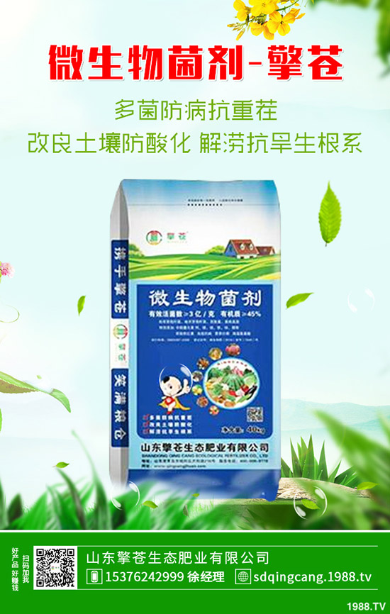     ӡ���ٴ��И�(bi��o)��2019��11��8�ս��ո��؅^(q��)�����������S��(b��o)�r(ji��)һ�[