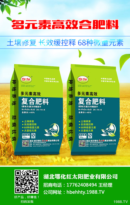 ��Ƥ������ô�N����Ƥ����Nֲ���g(sh��)����Щ��