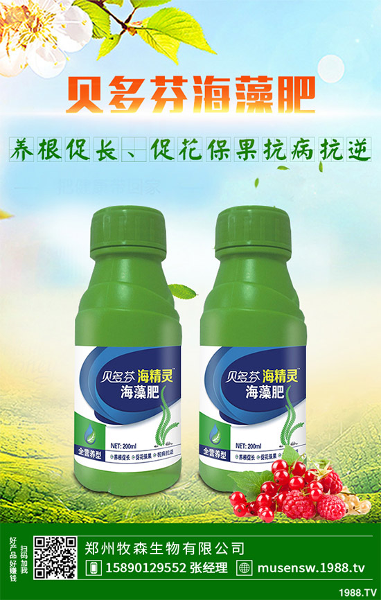 ���E��ʲô�@ô���˚gӭ�����E���Ј��������