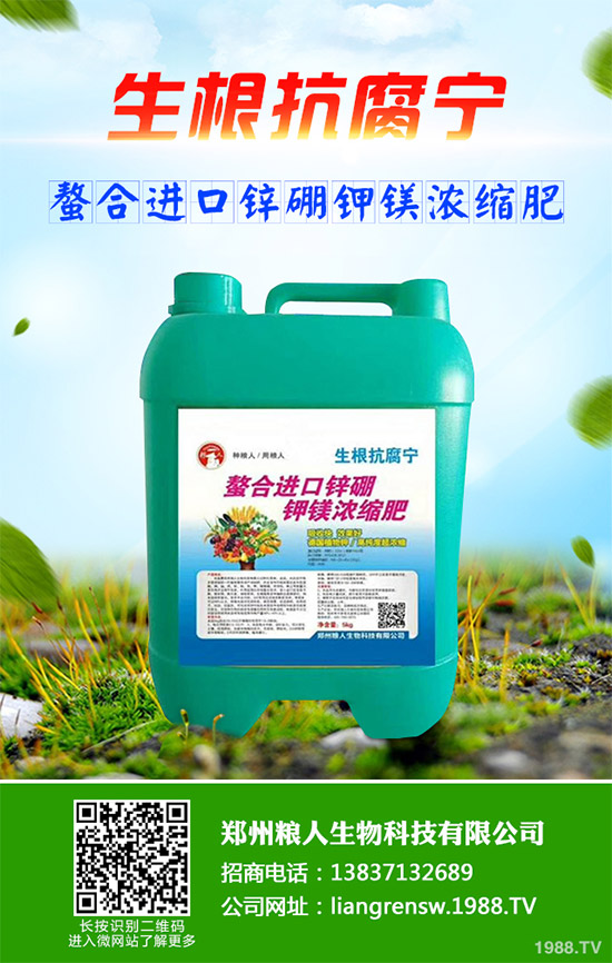 ���E����Щ�I�B(y��ng)�r(ji��)ֵ�����E�ĠI�B(y��ng)�r(ji��)ֵ����Ч����