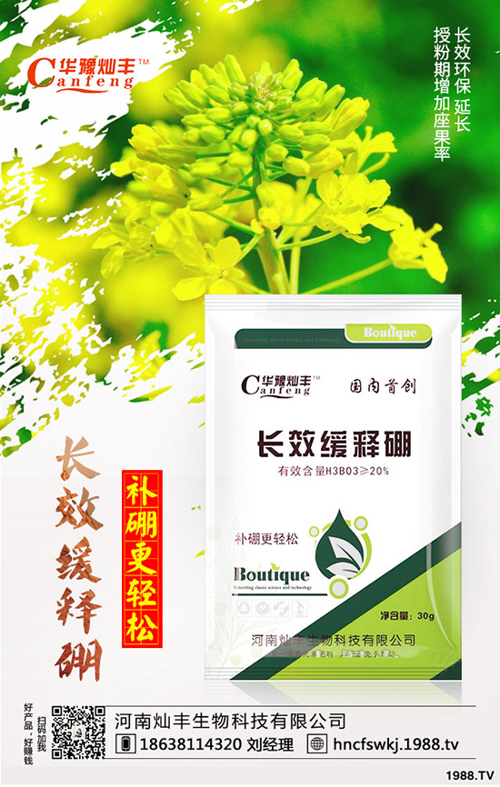 ��������ô���£���Щԭ���´�������