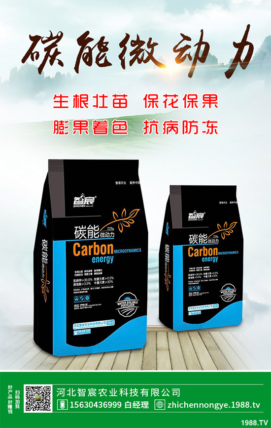 ħ��ԓ��ô�N��ħ��߮a(ch��n)�Nֲ��������