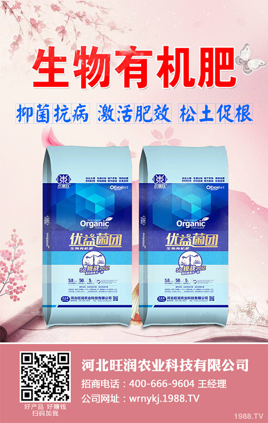 ����²�ԓ��ô�N����������²˷Nֲ���g(sh��)Ҫ�c(di��n)