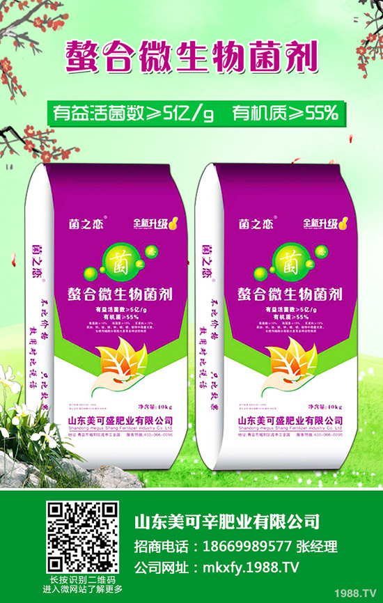     2019-12-11���@�����M(j��n)չǷ��������������@�r(ji��)���(b��o)�r(ji��)һ�[