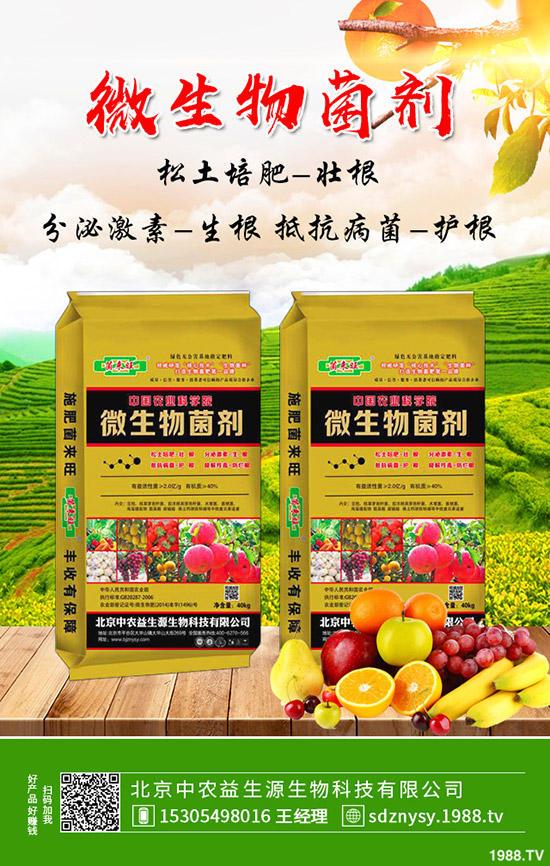     �ͺϷʽ���r�񡰱��ס���2019-12-12���������߄ݾC�Ϸ�����