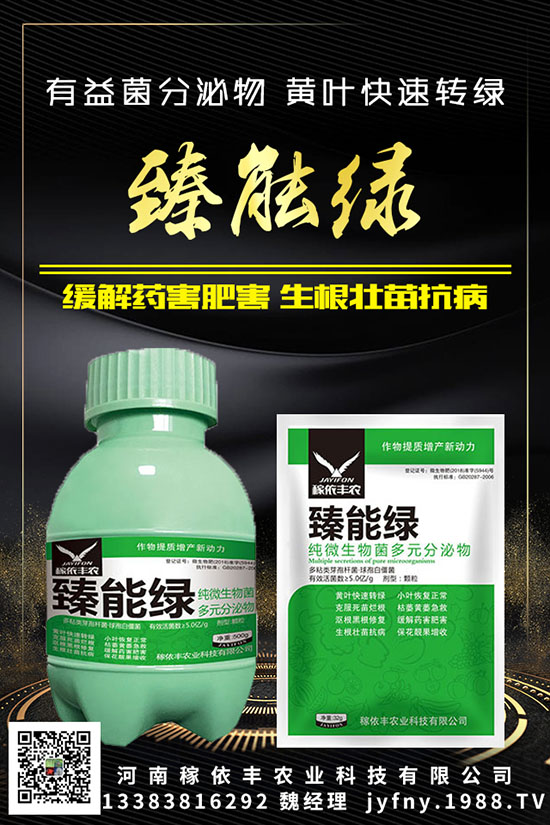 ��N�S�ʺܳ�Ҋ��Ԫ�غ�������������Ҫ֪���c�M��������